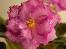 DSCN0312