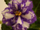 DSCN0308