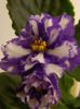 DSCN0307