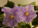 DSCN0305
