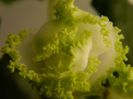 DSCN0302