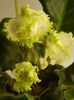 DSCN0299