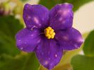 DSCN0297