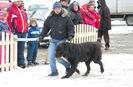 20130302-DSC_1263