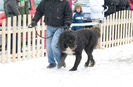 20130302-DSC_1264