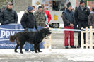 20130302-DSC_1287