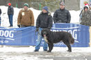 20130302-DSC_1295