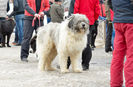 20130302-DSC_1313
