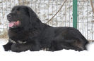 20130302-DSC_1371