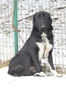 20130302-DSC_1389