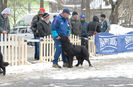 20130302-DSC_1404