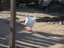 Picture 023