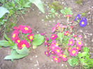 SANY0055