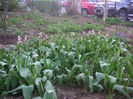SANY0067