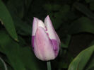 SANY0089