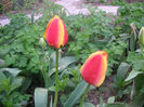 SANY0091