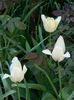 DSCN7267