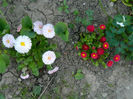 DSCN7269