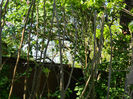 DSCN7295