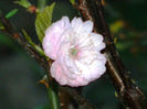 DSCN7301