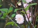 DSCN7313