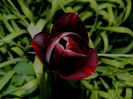 DSCN7317