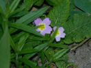 DSCN7331