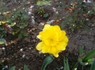 SAM_2172