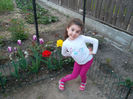SAM_2201