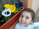 SAM_2240