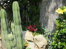 IMG_0923