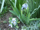 DSCF0373