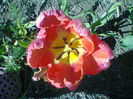 Fotogr.0965
