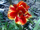 Fotogr.0967