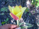 Fotogr.0969