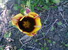 Fotogr.0970