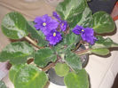 DSCN8219_3689