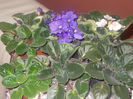 DSCN8223_3693