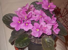 DSCN8228_3697