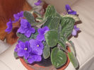 DSCN8230_3699