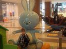 DSCN8241_3710
