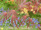 Spring colors (2013, April 21)