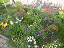 Spring colors (2013, April 22)