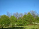 IMG_2439