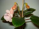 DSC06560