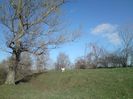 DSC09915