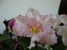 DSC06976