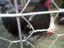 IMG00354-20130222-1526