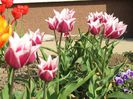 IMG_5190