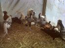 IMG00477-20130318-1655
